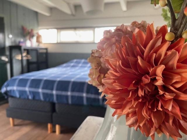 Holiday Cottage De Garage Inn Hank エクステリア 写真